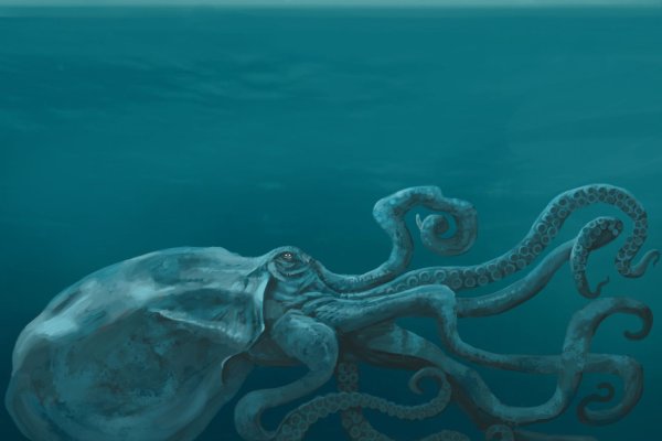 Kraken это