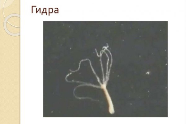 Кракен оригинальные ссылка в тор