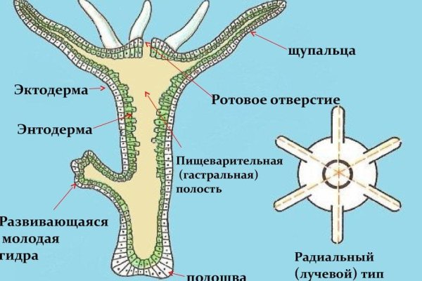 Кракен с айфона