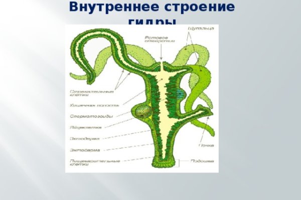 Зайти на сайт кракен